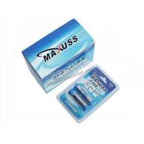 Wholesale Batteries Maxuss 1.2V 2300mAh Ni-MH AA Rechargeable Batteries (2-Pack)